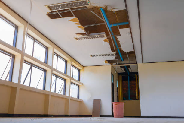 Best Water damage restoration near me  in St Peters, MO
