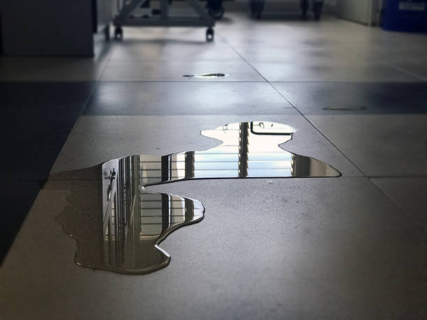 Best 24-hour water damage restoration  in St Peters, MO